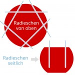 schnitt